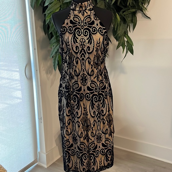 (NWOT) Bisou Bisou Lace Dress - Picture 1 of 7